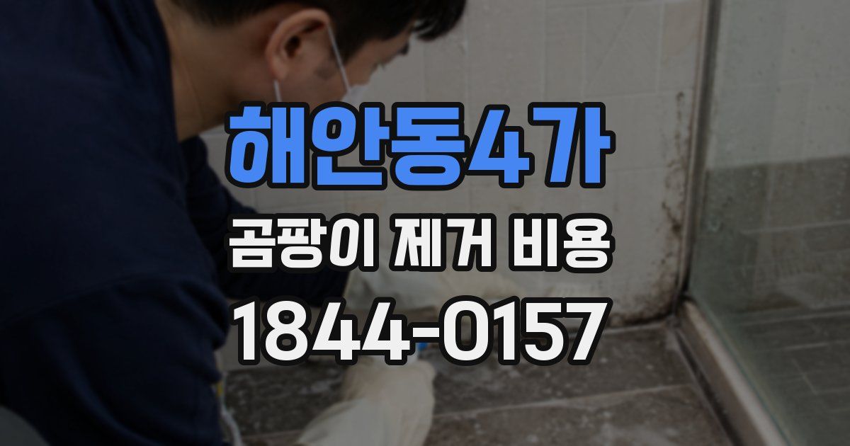 해안동4가 곰팡이 제거 비용