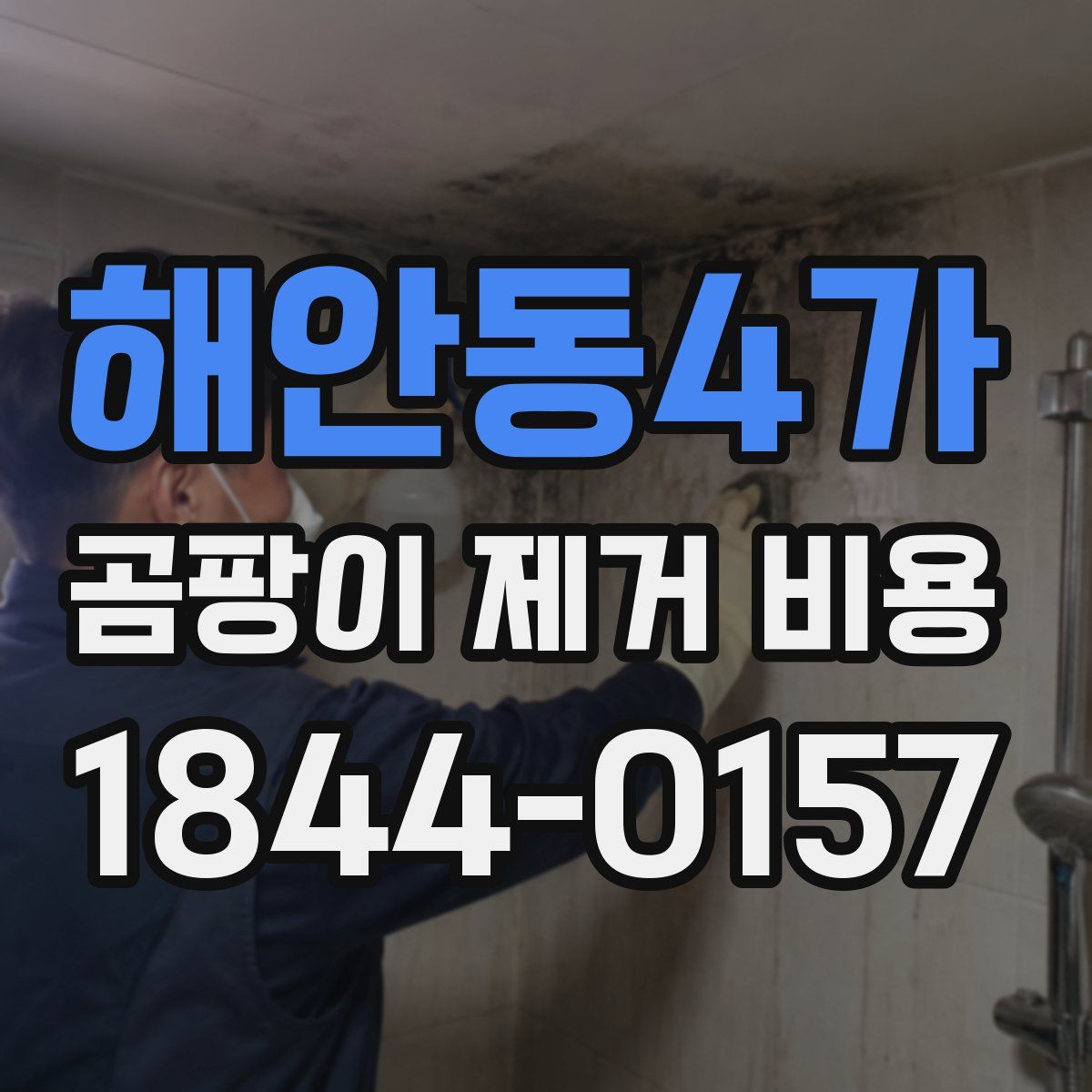 해안동4가 곰팡이 제거 비용