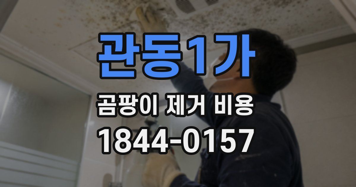 관동1가 곰팡이 제거 비용