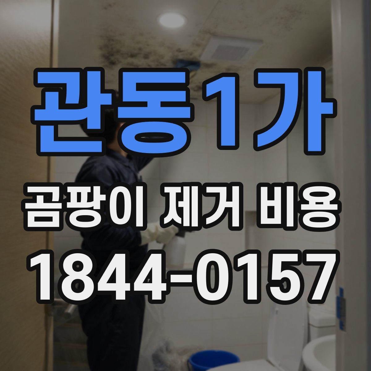 관동1가 곰팡이 제거 비용
