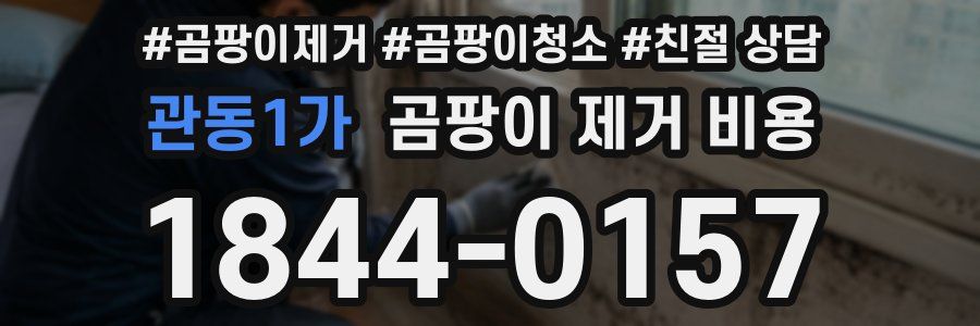 관동1가 곰팡이 제거 비용
