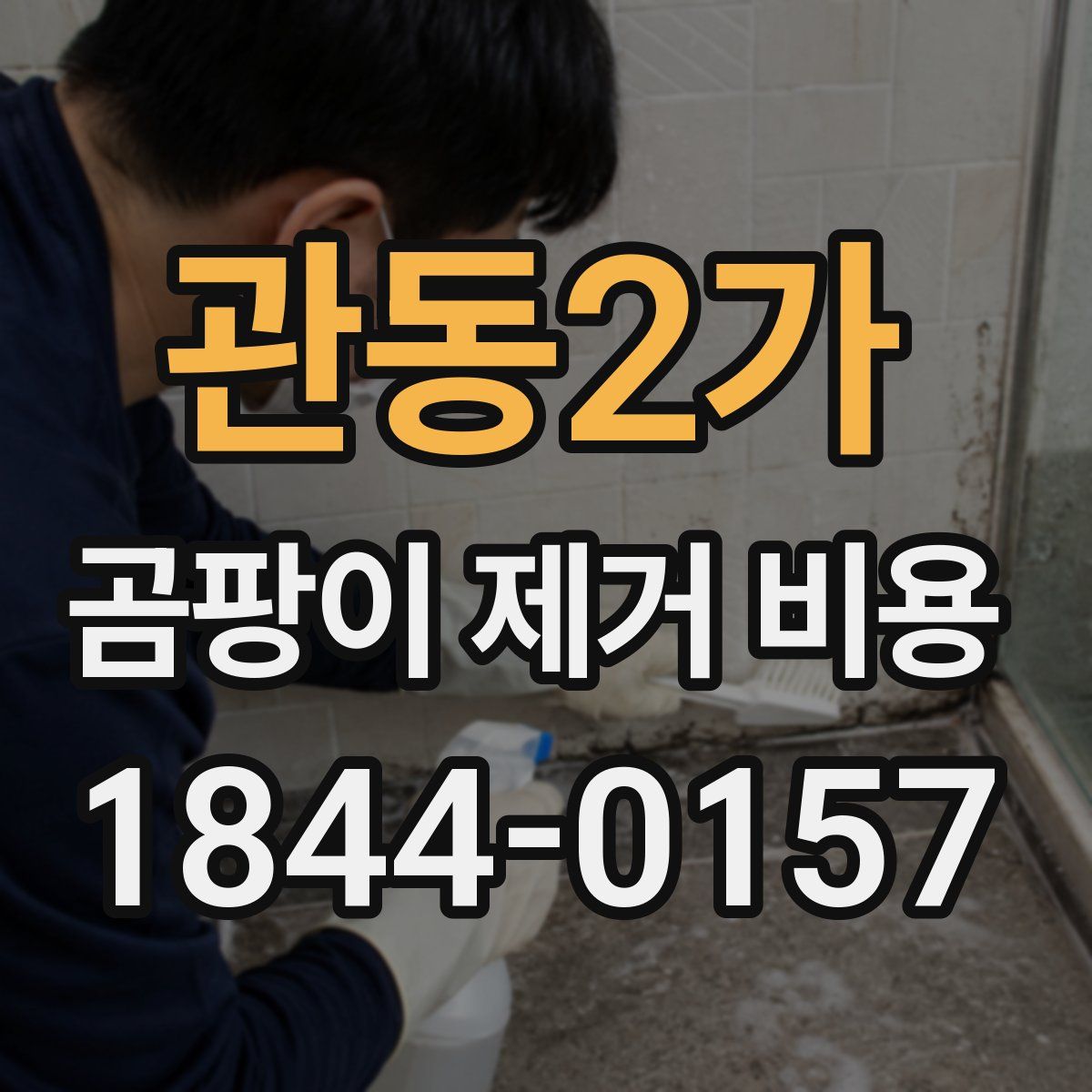 관동2가 곰팡이 제거 비용