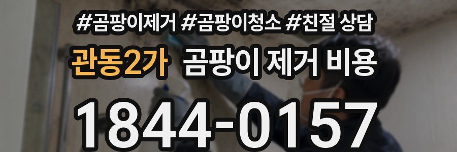 관동2가 곰팡이 제거 비용