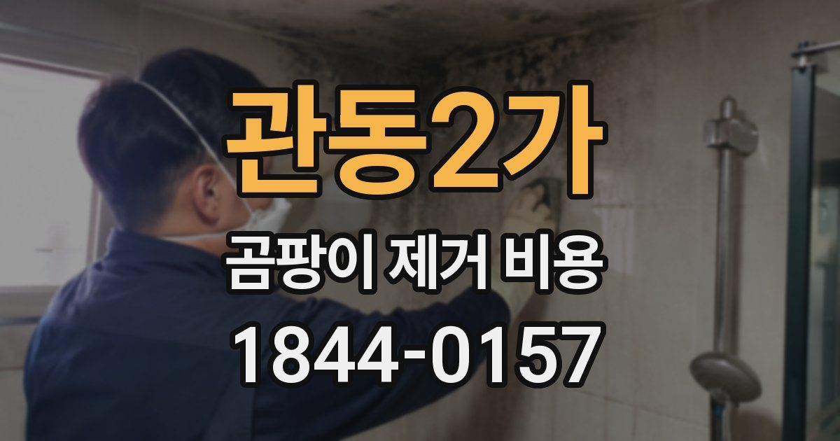 관동2가 곰팡이 제거 비용