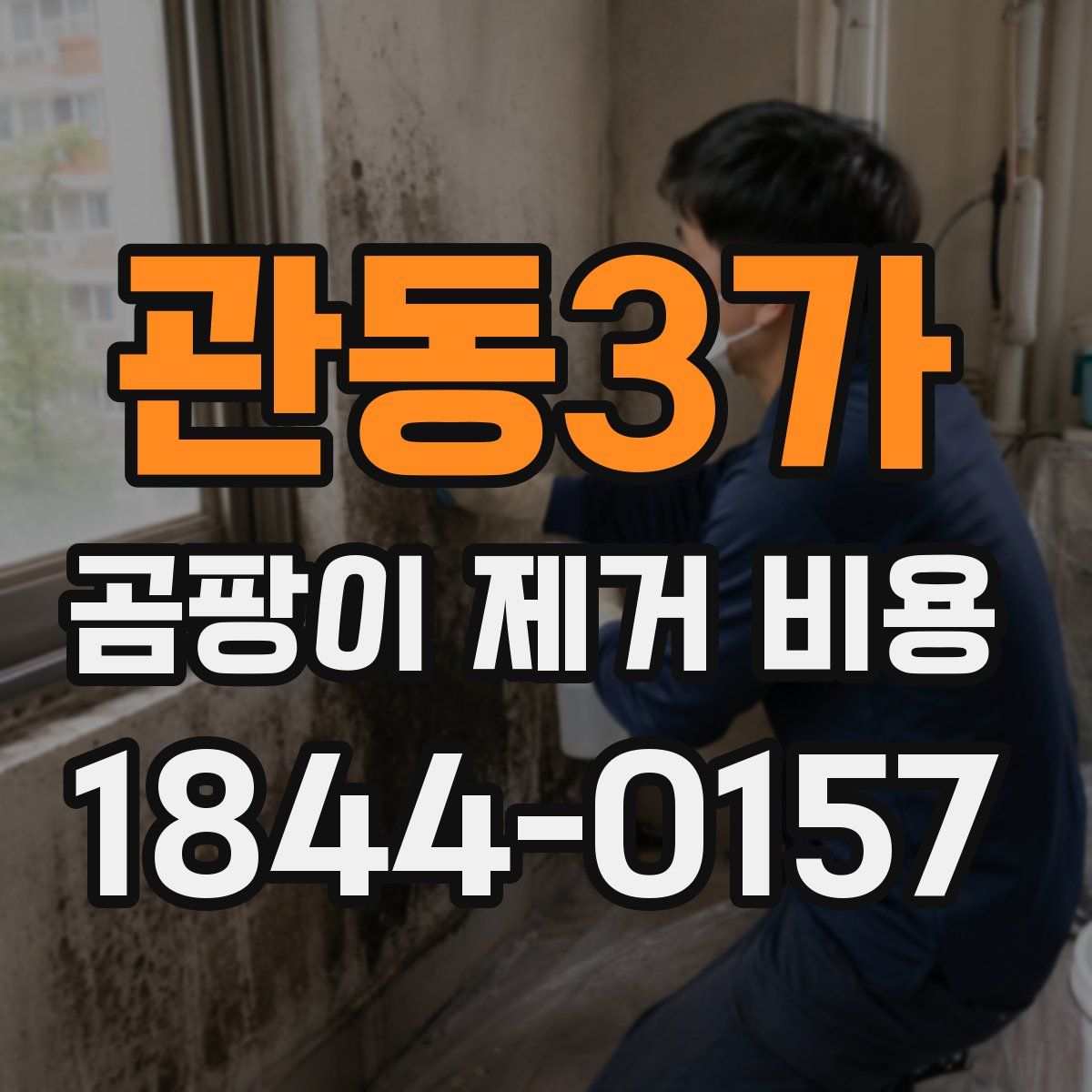 관동3가 곰팡이 제거 비용