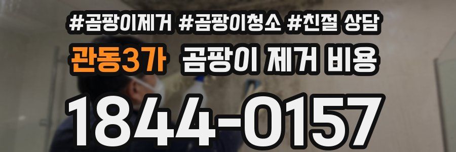 관동3가 곰팡이 제거 비용