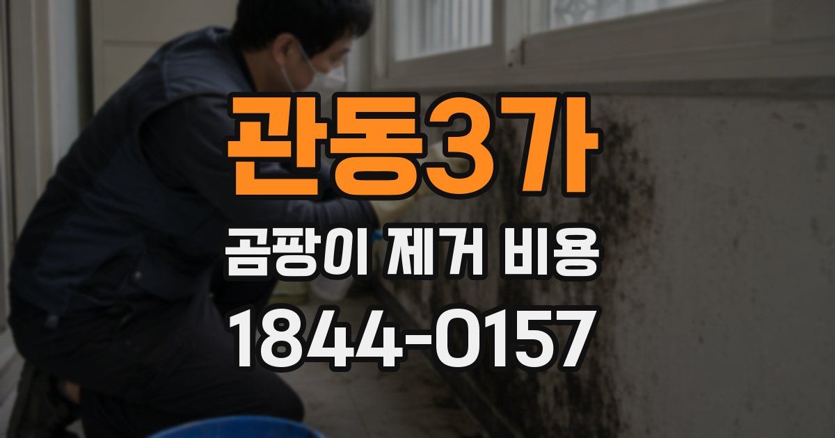 관동3가 곰팡이 제거 비용