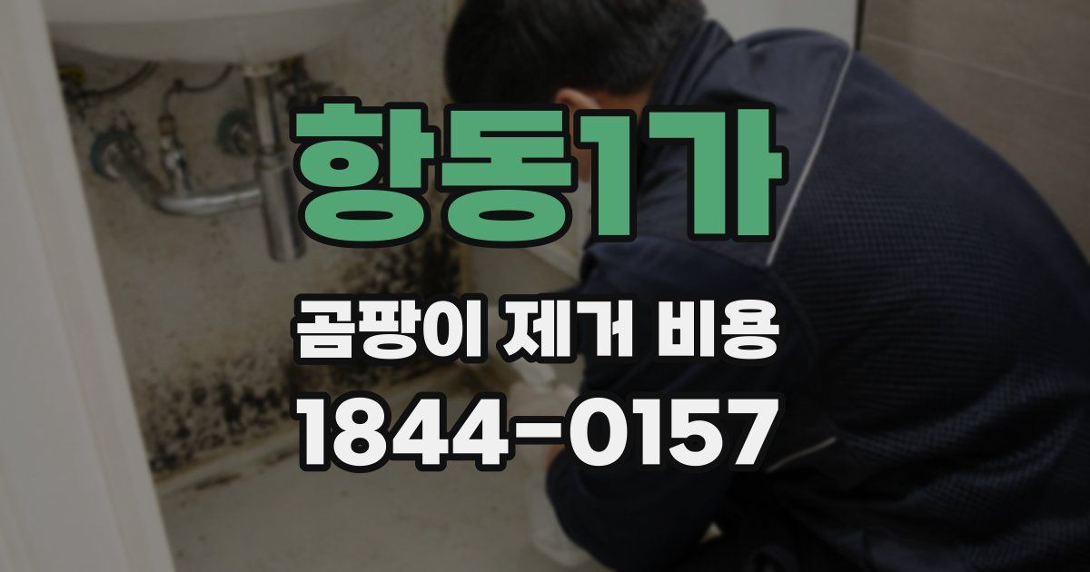 항동1가 곰팡이 제거 비용