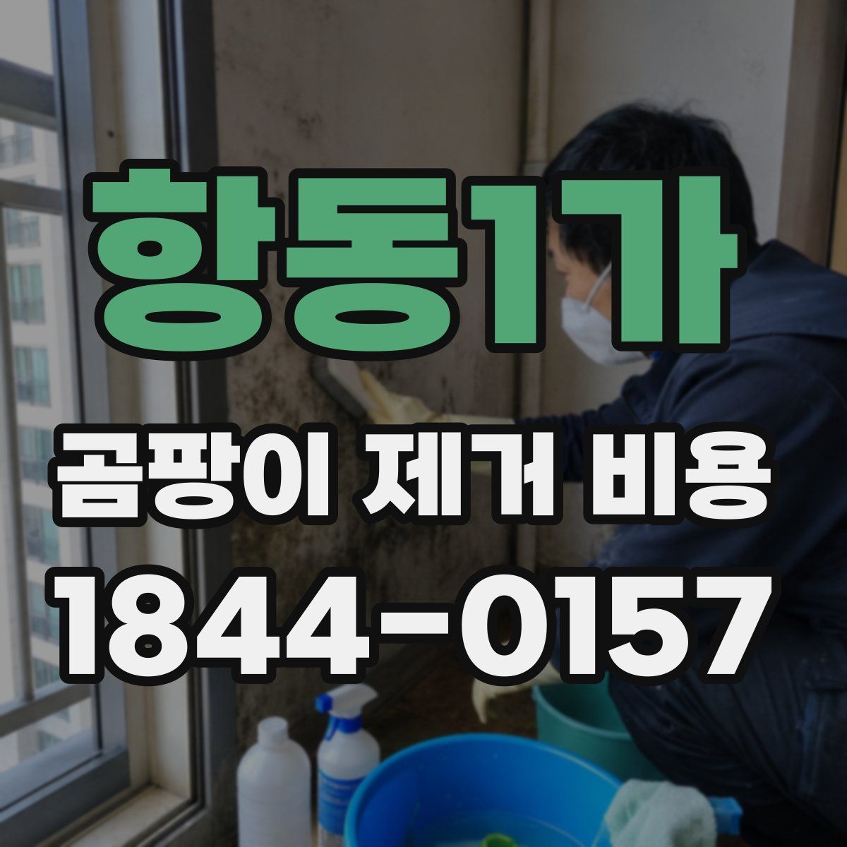 항동1가 곰팡이 제거 비용