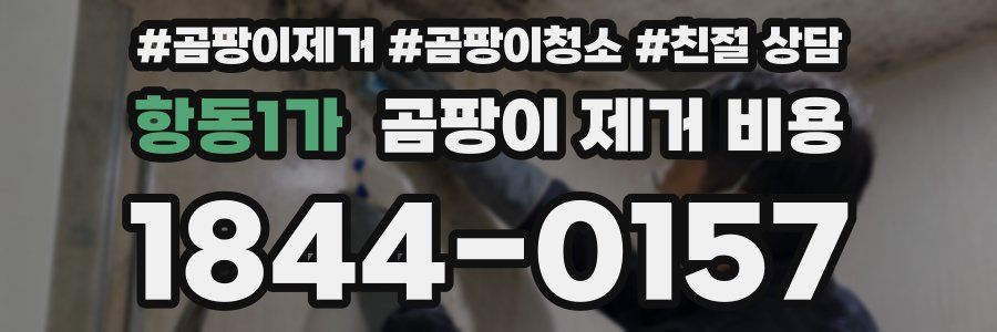항동1가 곰팡이 제거 비용