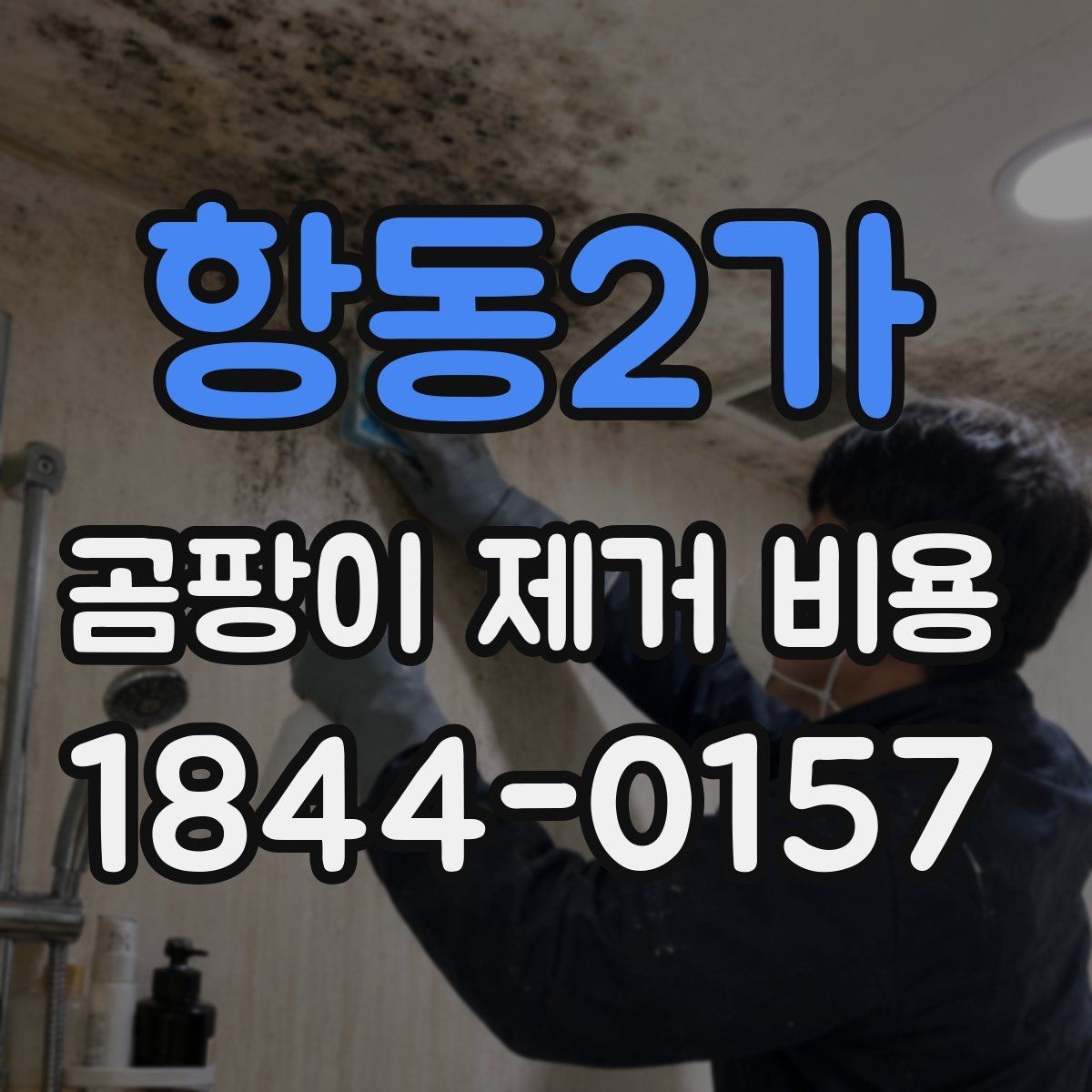 항동2가 곰팡이 제거 비용 견적 문의 전에 정리해야 할 내용