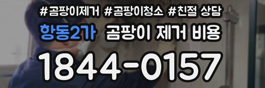 항동2가 곰팡이 제거 비용