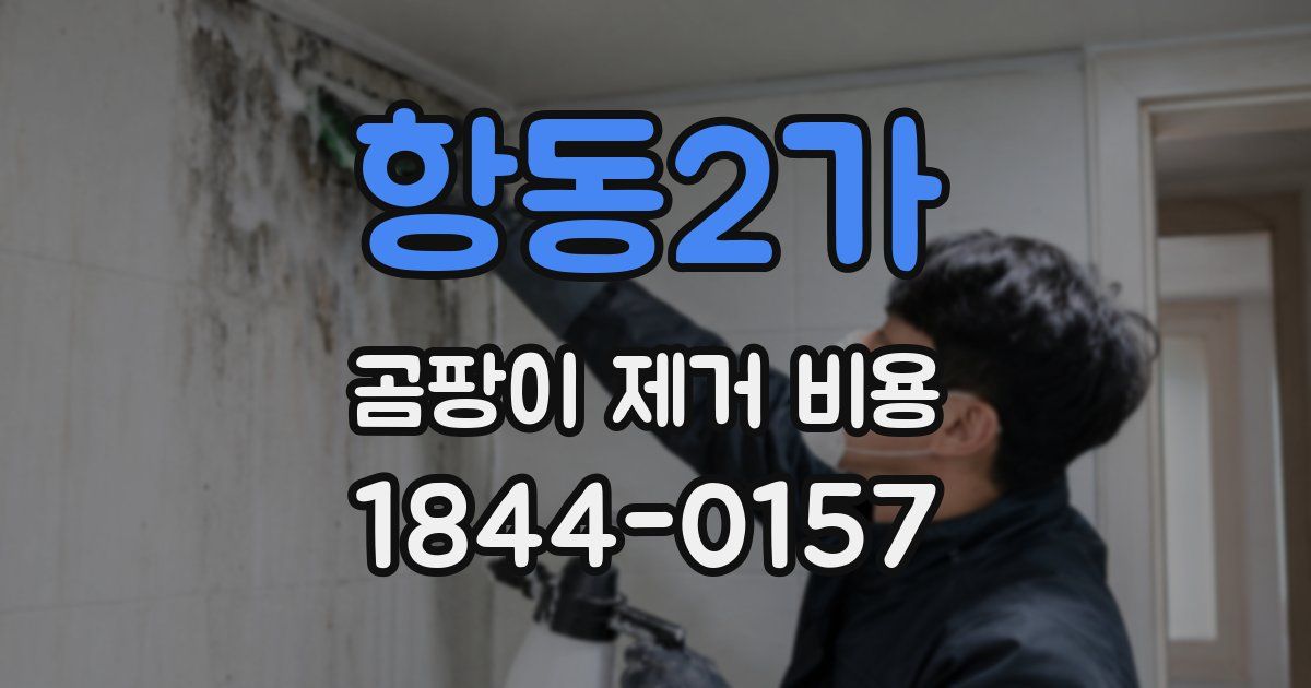 항동2가 곰팡이 제거 비용
