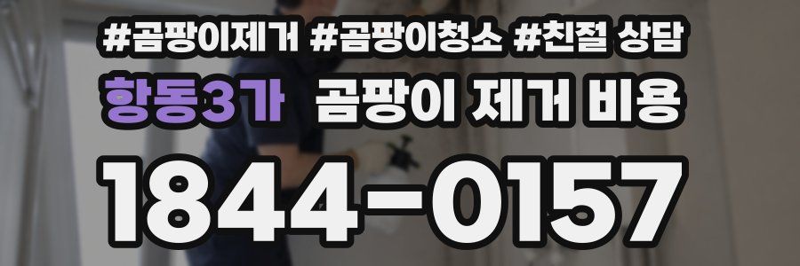 항동3가 곰팡이 제거 비용