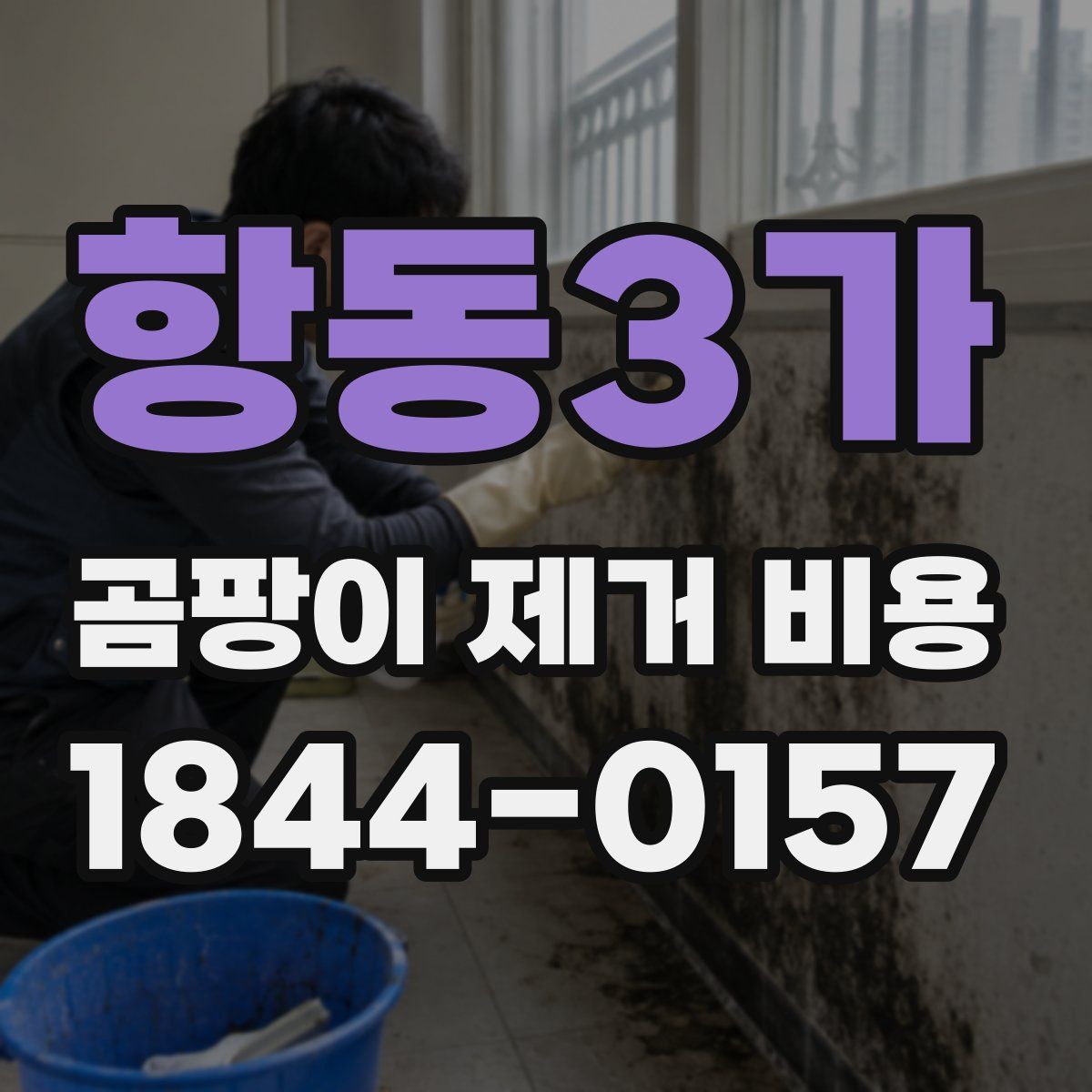 항동3가 곰팡이 제거 비용