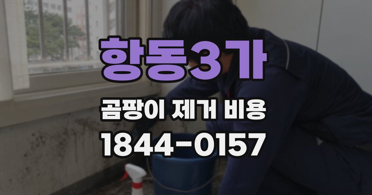 항동3가 곰팡이 제거 비용