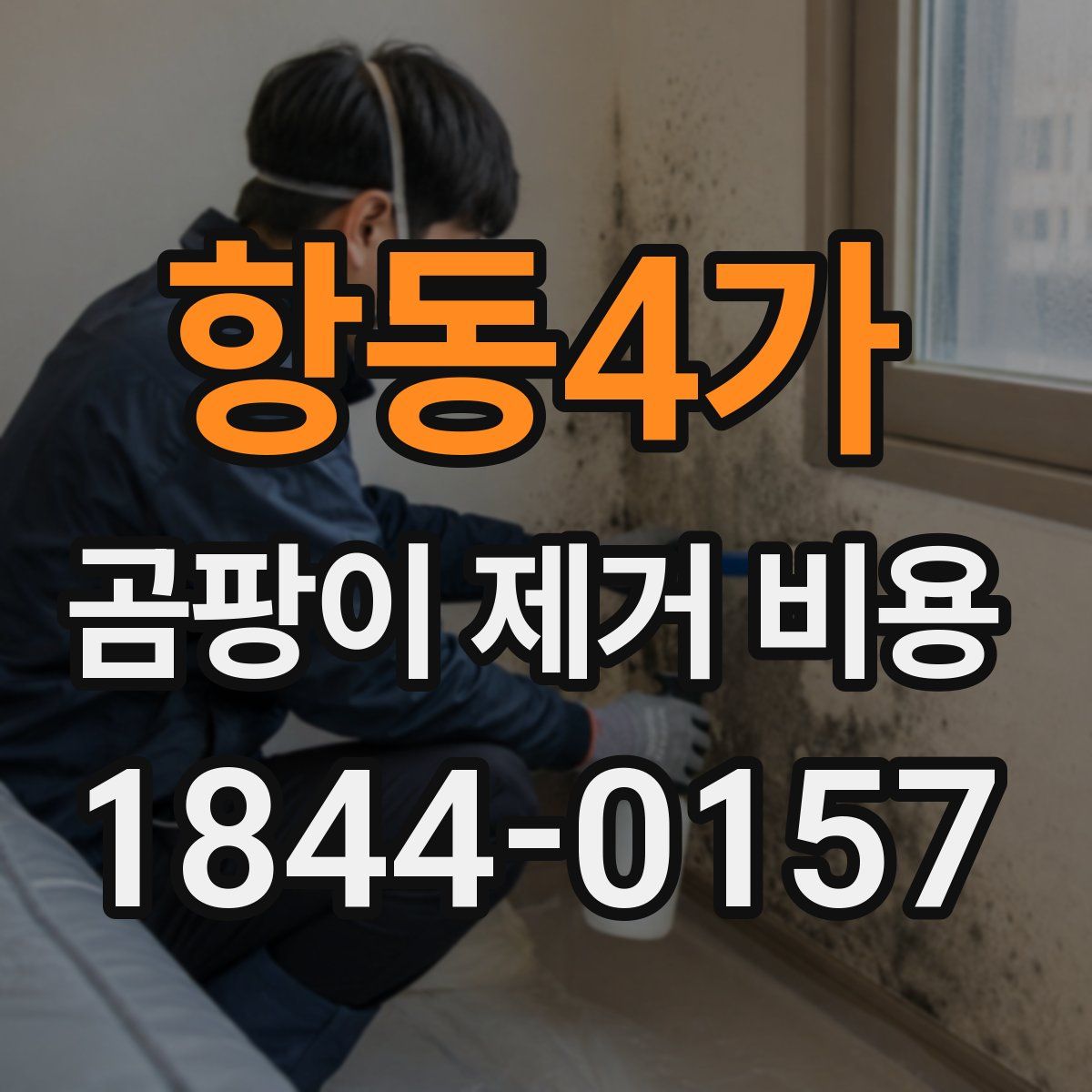 항동4가 곰팡이 제거 비용