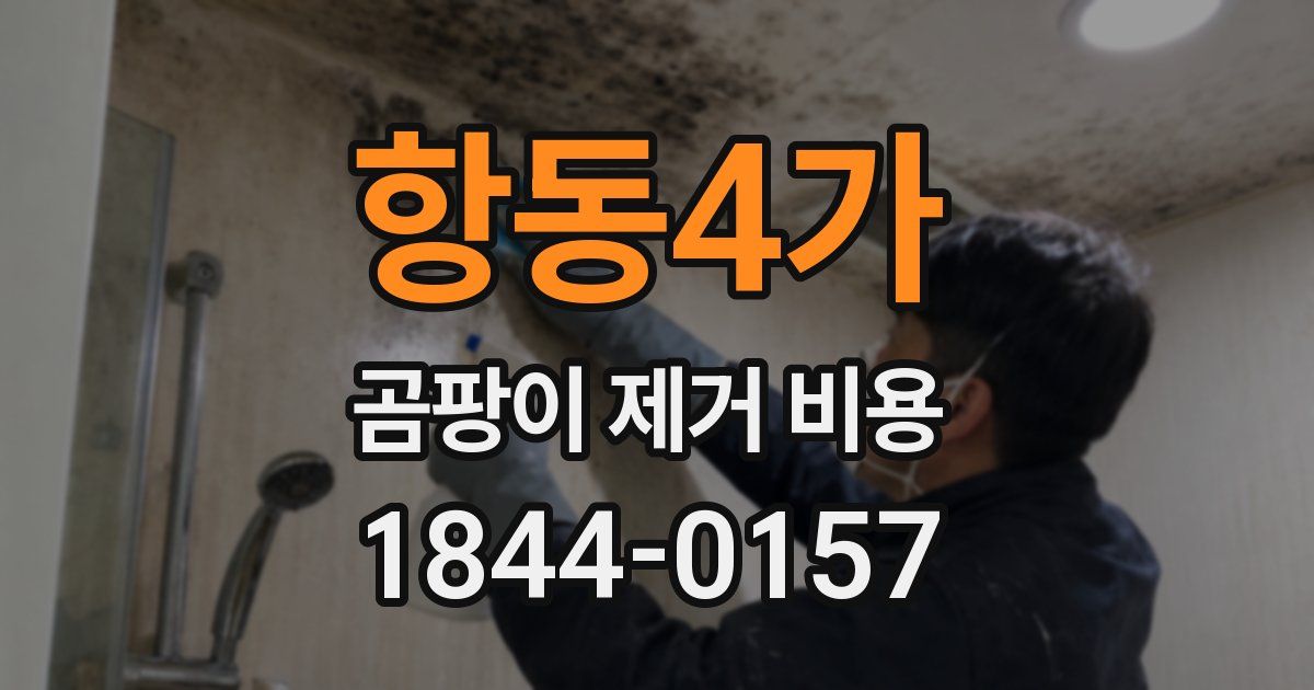 항동4가 곰팡이 제거 비용