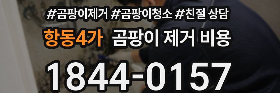 항동4가 곰팡이 제거 비용