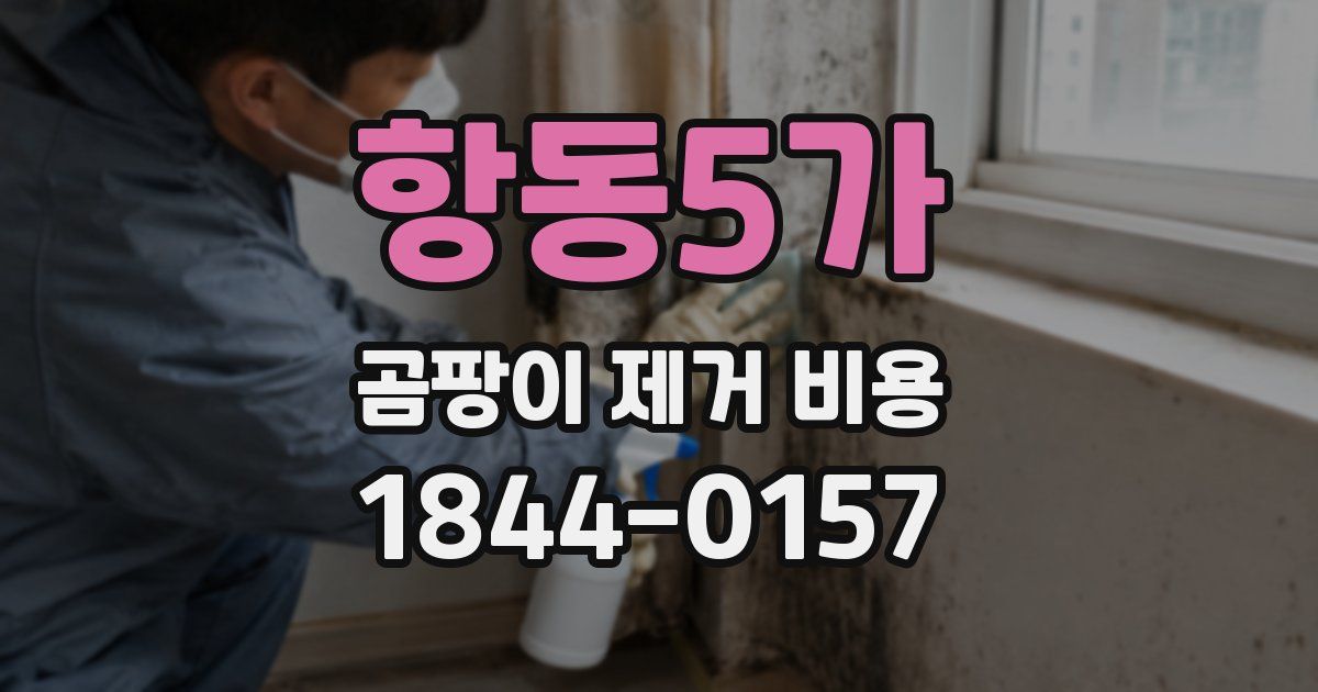 항동5가 곰팡이 제거 비용