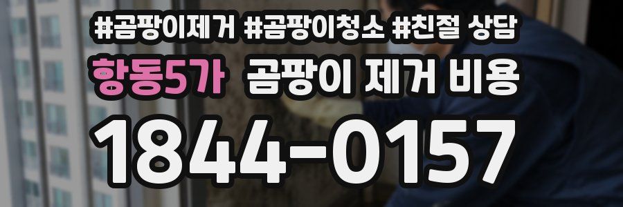 항동5가 곰팡이 제거 비용