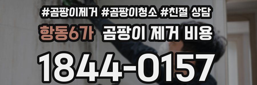 항동6가 곰팡이 제거 비용