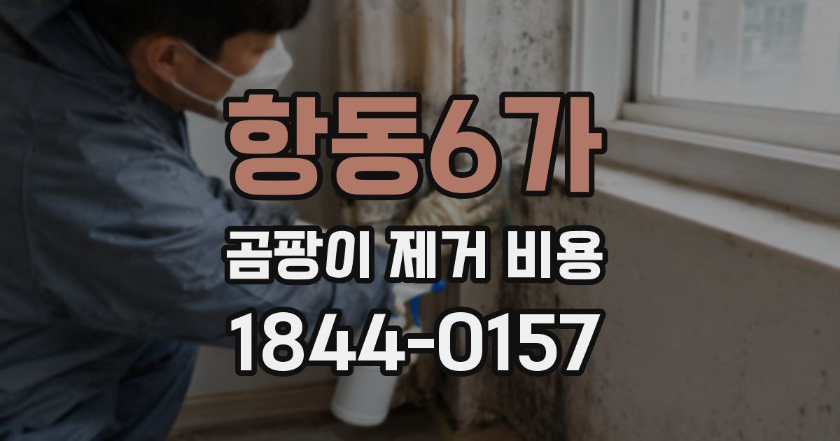 항동6가 곰팡이 제거 비용