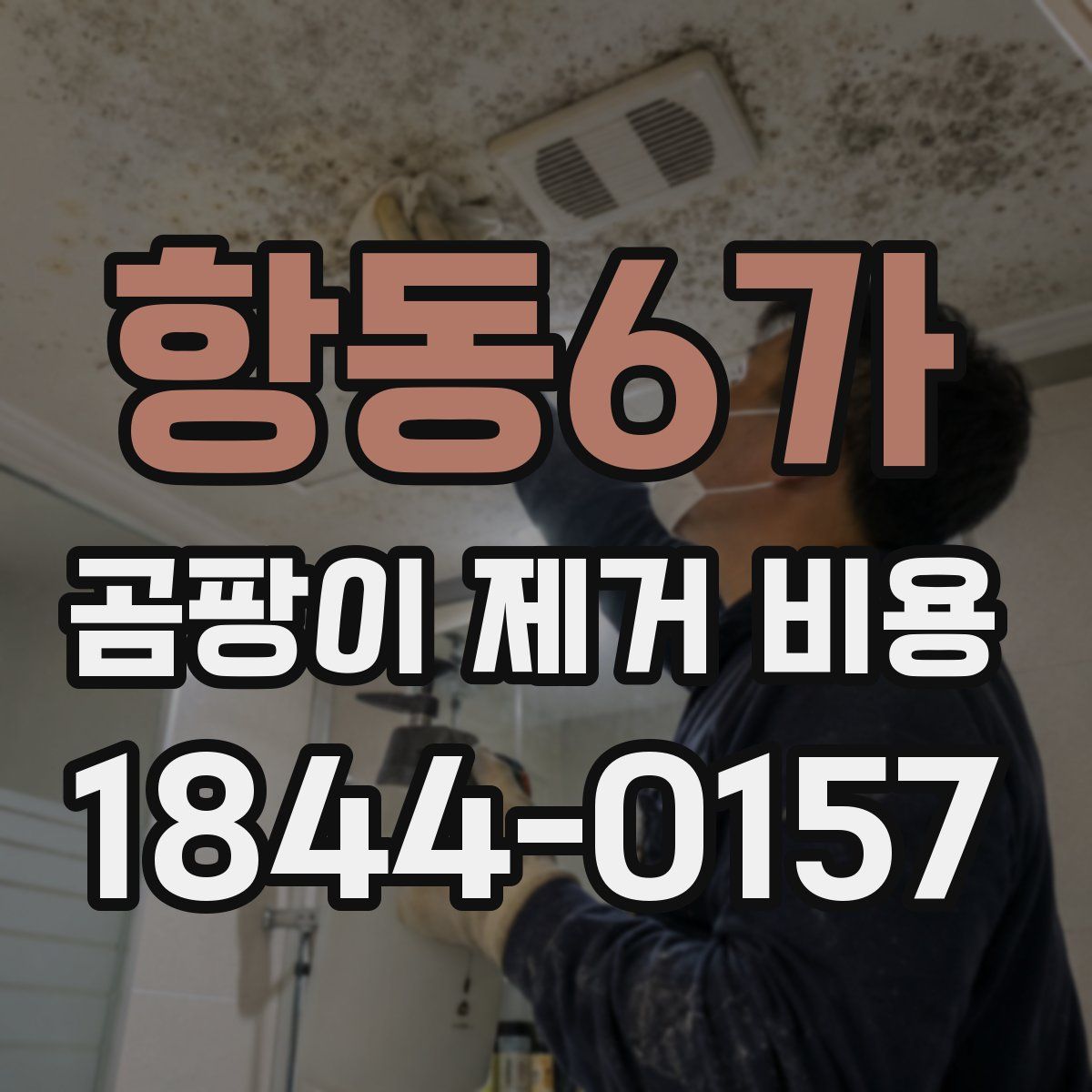 항동6가 곰팡이 제거 비용