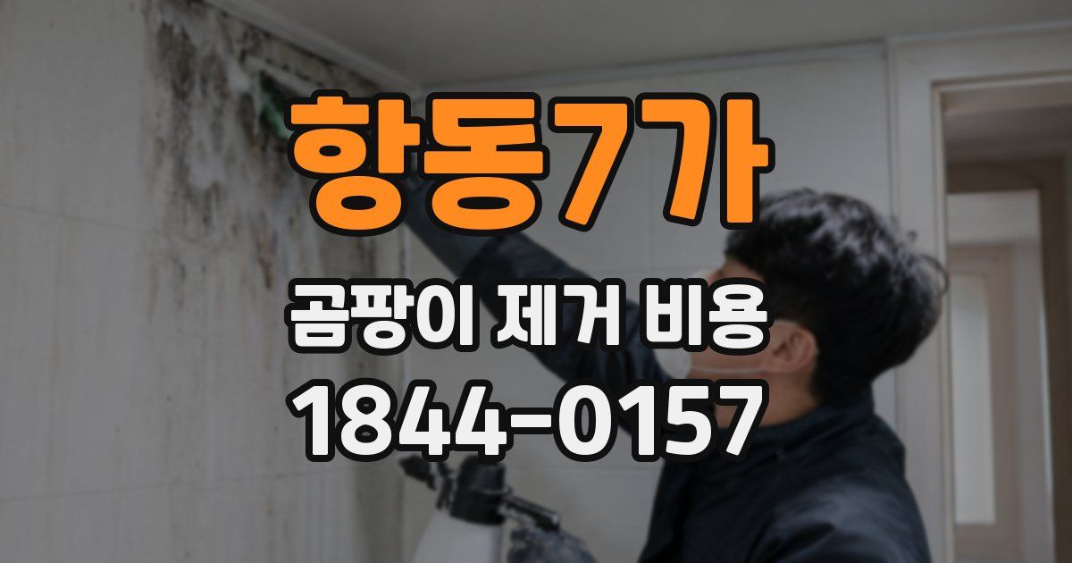 항동7가 곰팡이 제거 비용