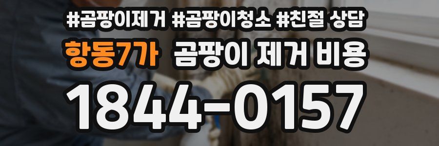 항동7가 곰팡이 제거 비용