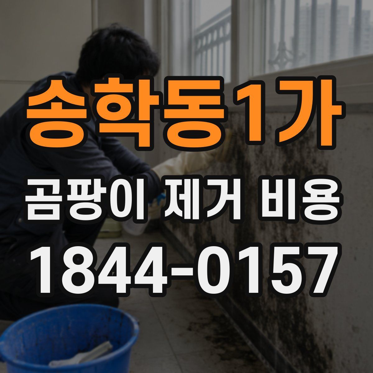 송학동1가 곰팡이 제거 비용