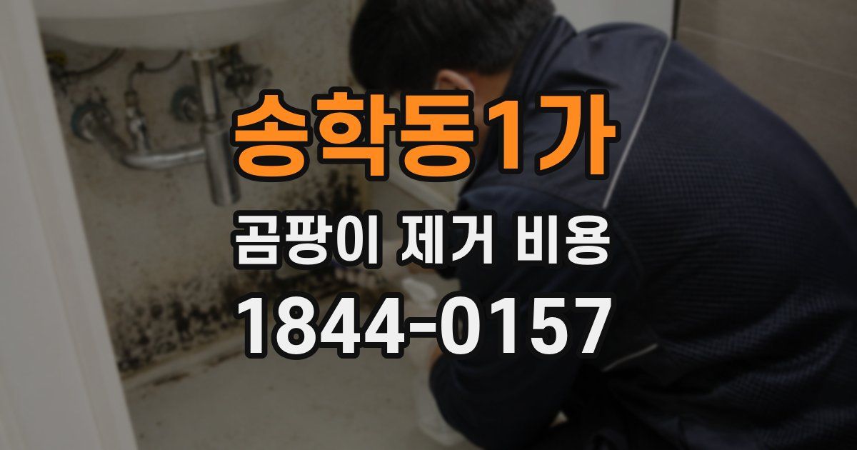 송학동1가 곰팡이 제거 비용