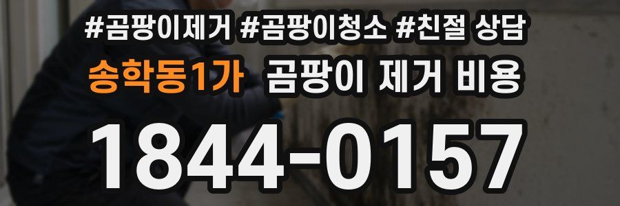 송학동1가 곰팡이 제거 비용
