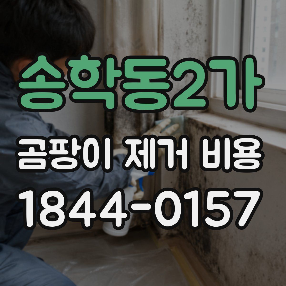 송학동2가 곰팡이 제거 비용