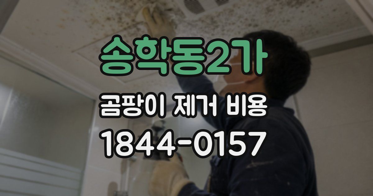 송학동2가 곰팡이 제거 비용