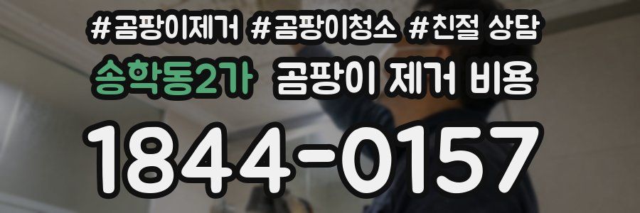 송학동2가 곰팡이 제거 비용