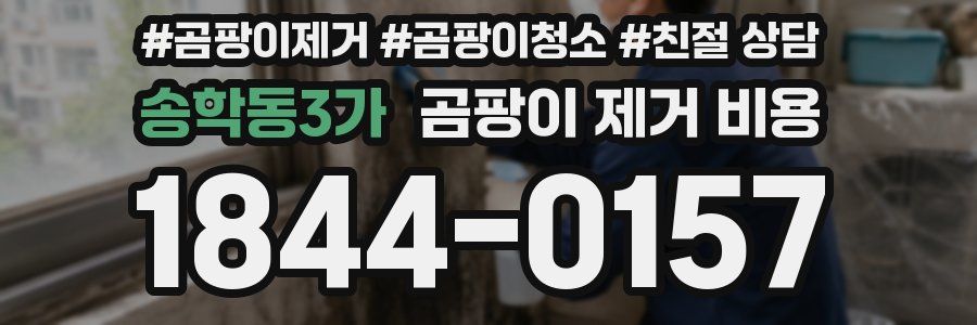 송학동3가 곰팡이 제거 비용