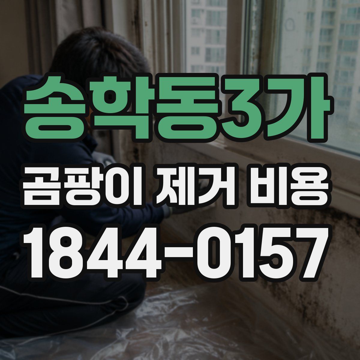송학동3가 곰팡이 제거 비용