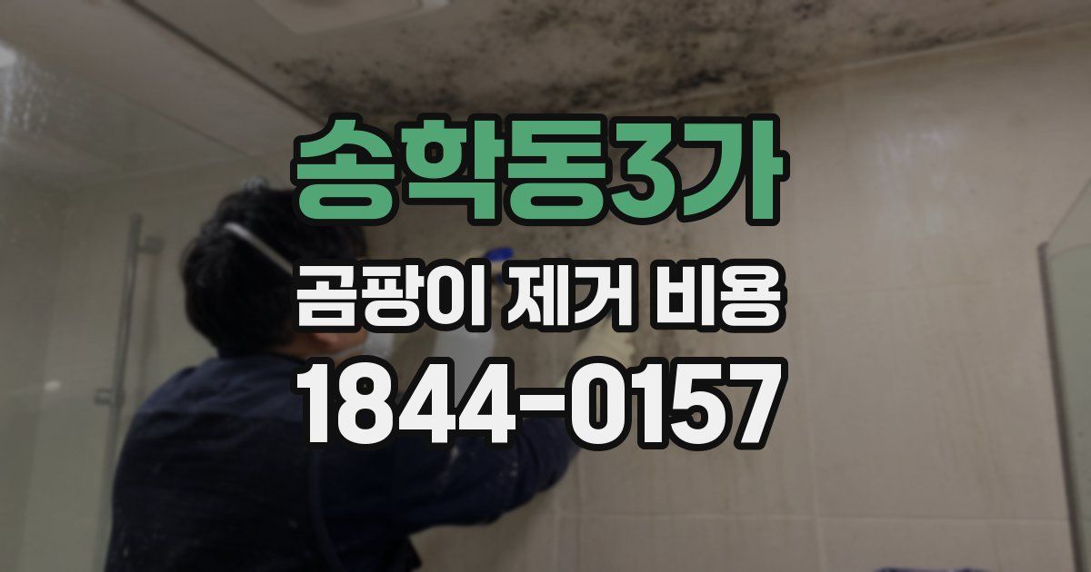 송학동3가 곰팡이 제거 비용