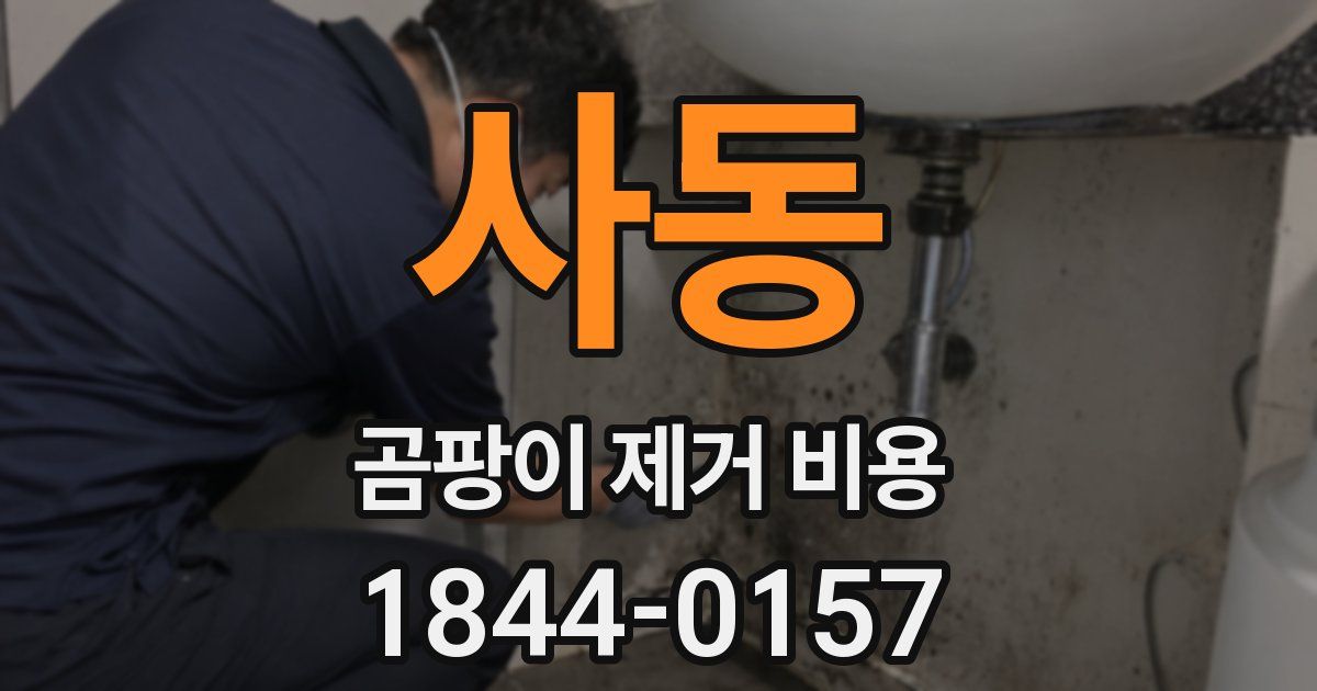 사동 곰팡이 제거 비용