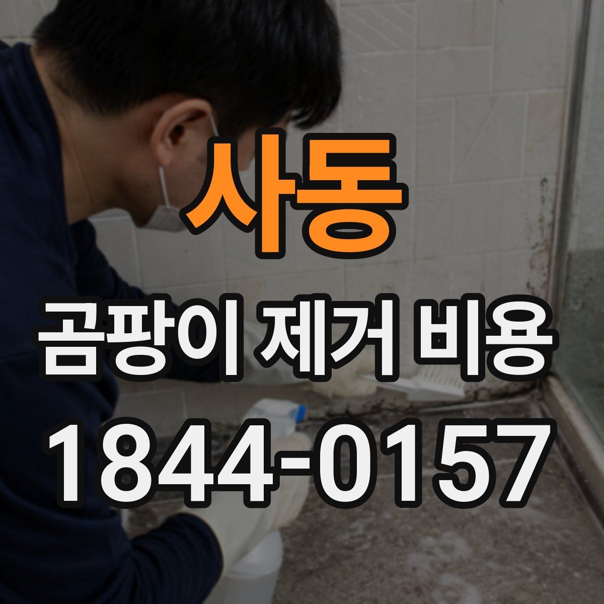 사동 곰팡이 제거 비용
