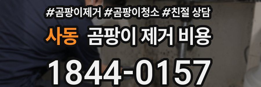 사동 곰팡이 제거 비용