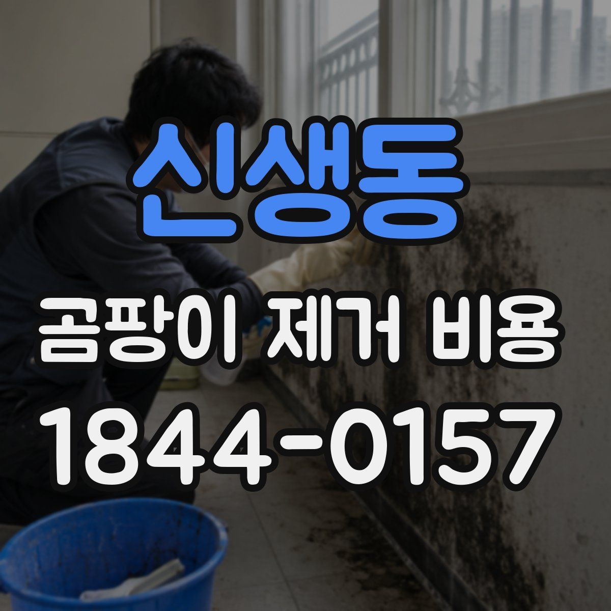 신생동 곰팡이 제거 비용