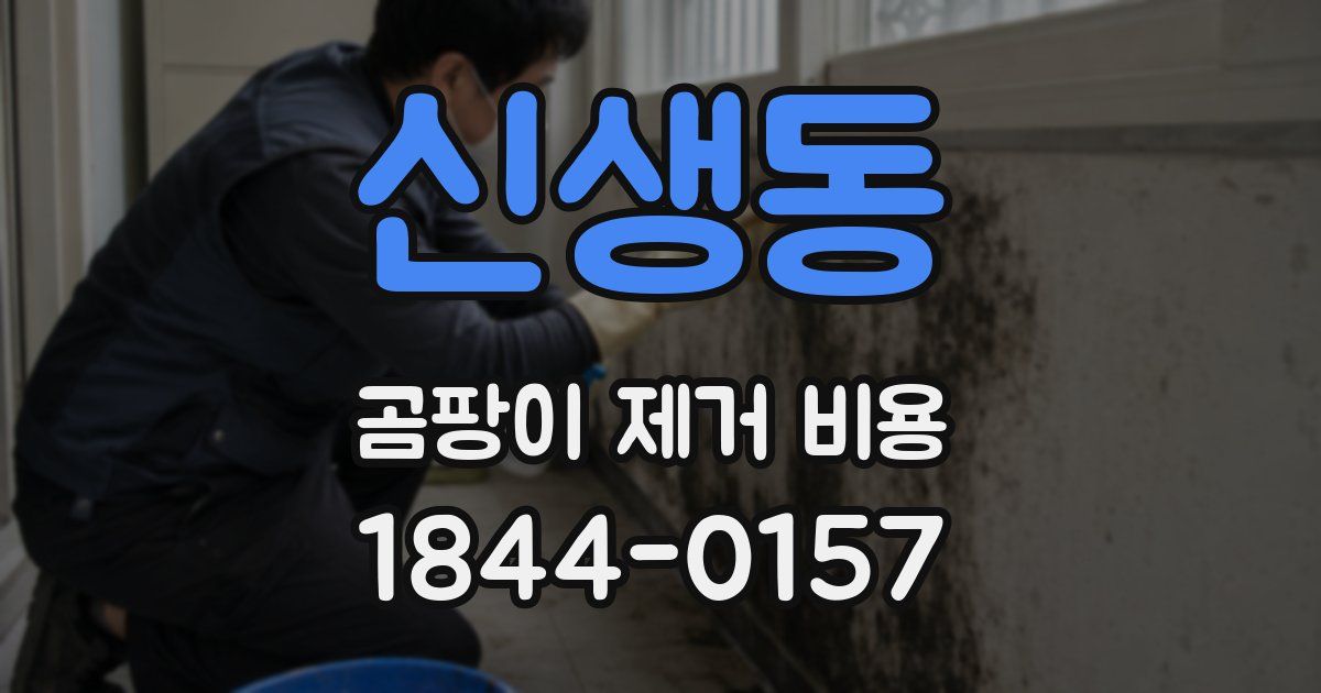 신생동 곰팡이 제거 비용