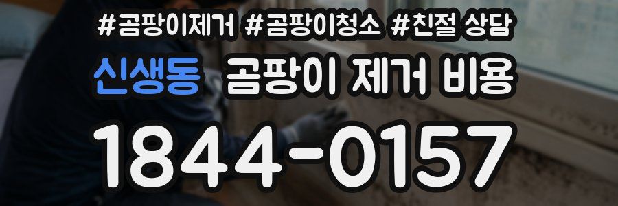 신생동 곰팡이 제거 비용