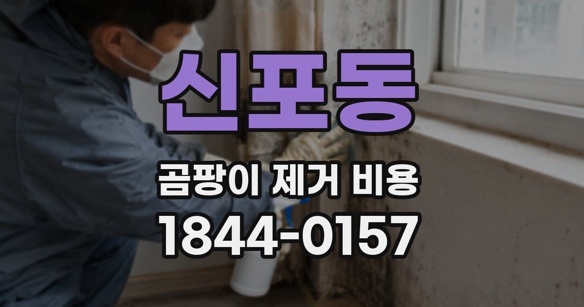 신포동 곰팡이 제거 비용