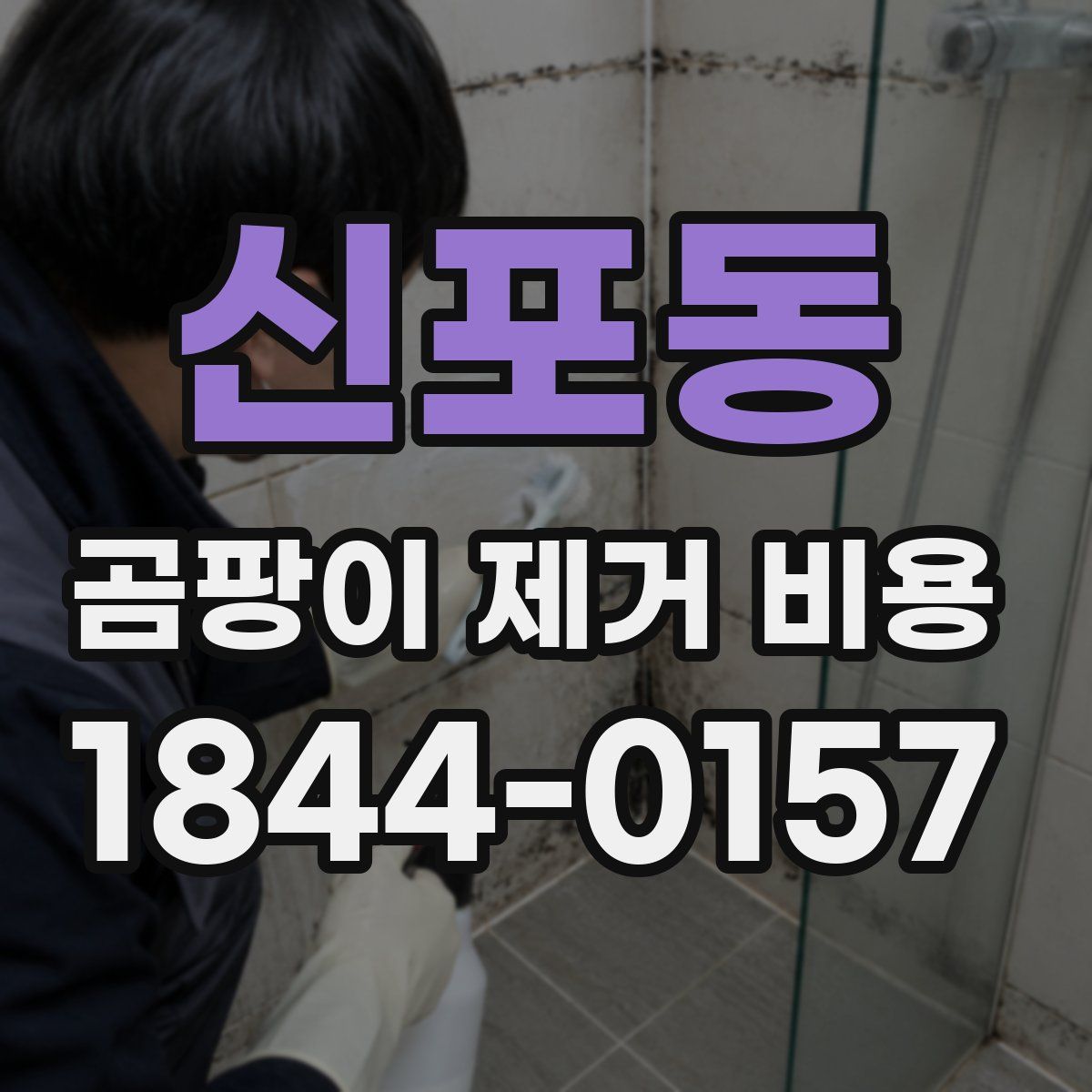 신포동 곰팡이 제거 비용