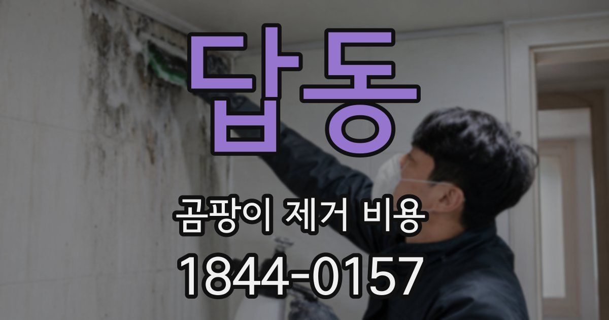 답동 곰팡이 제거 비용