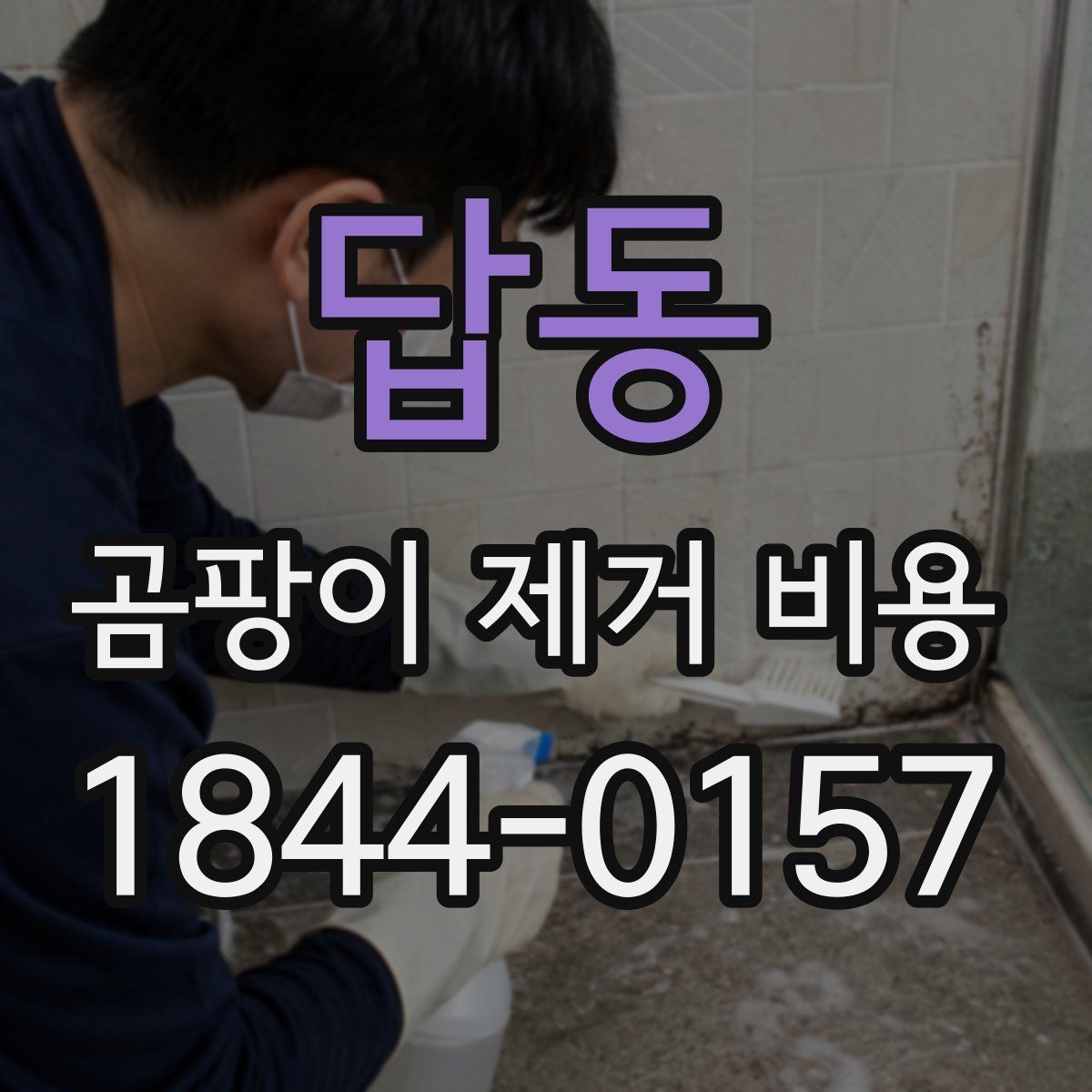 답동 곰팡이 제거 비용