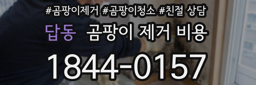 답동 곰팡이 제거 비용